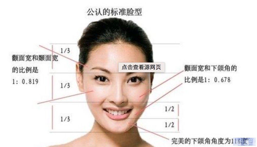 公认标准型脸